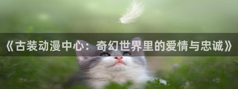 新风车动漫网530