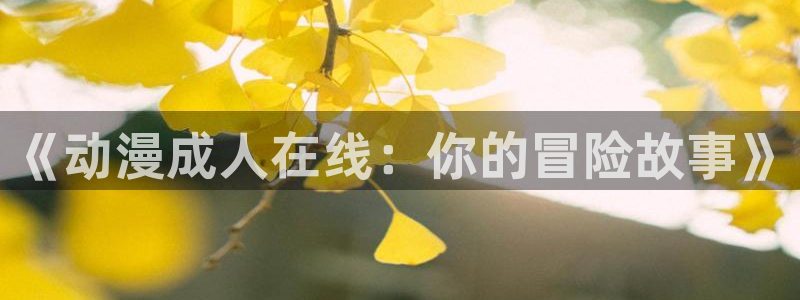 风车动漫dm530专注动漫的门户