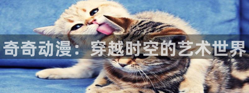 风车动漫免费在线观看漫画入口