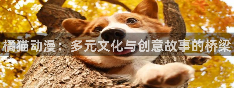 风车动漫(p)_下载