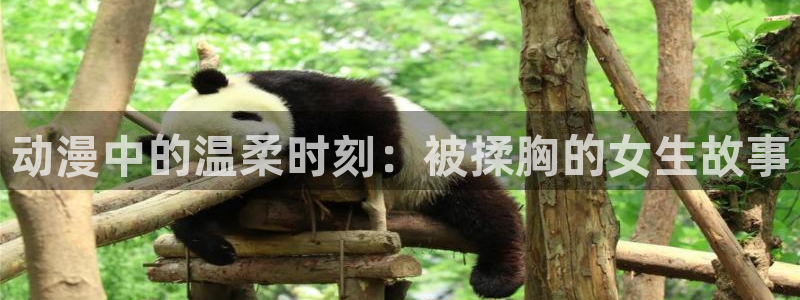 风车动漫正版免费下载最新