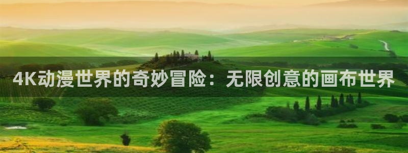 风车动漫缘之空