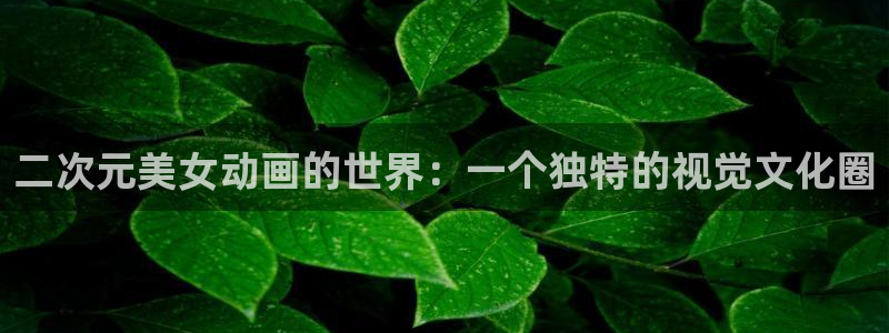 风车动漫电脑版下载